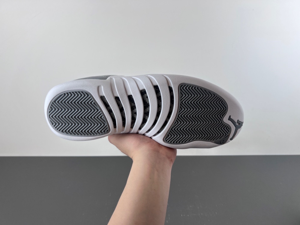 Air Jordan 12 STEALTH CT8013-015
