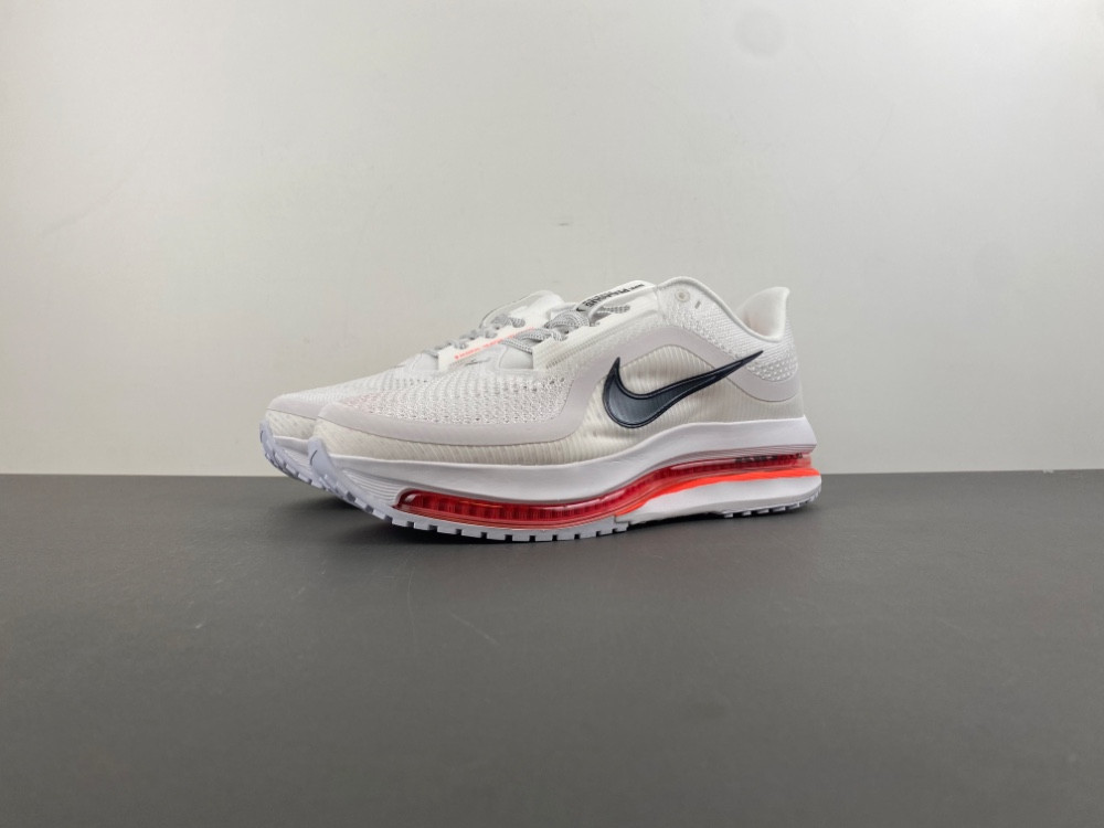 Nike Pegasus Premium Summit HQ2593-101