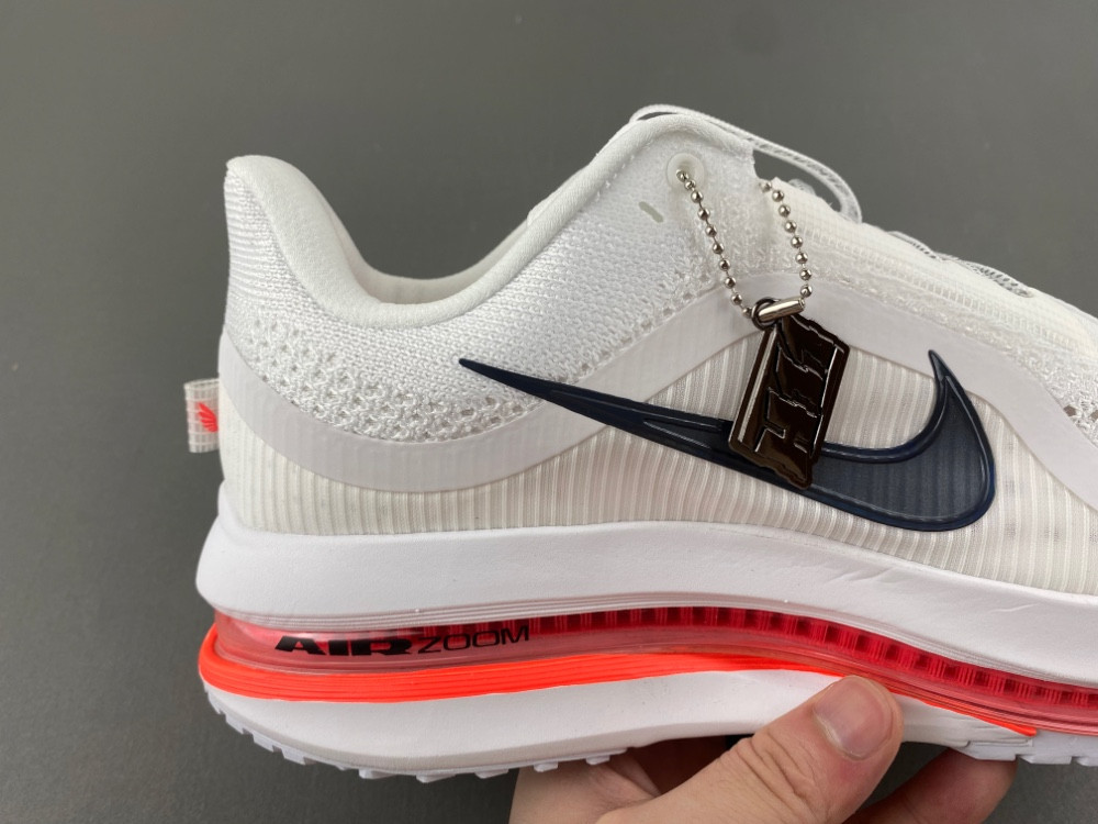 Nike Pegasus Premium Summit HQ2593-101