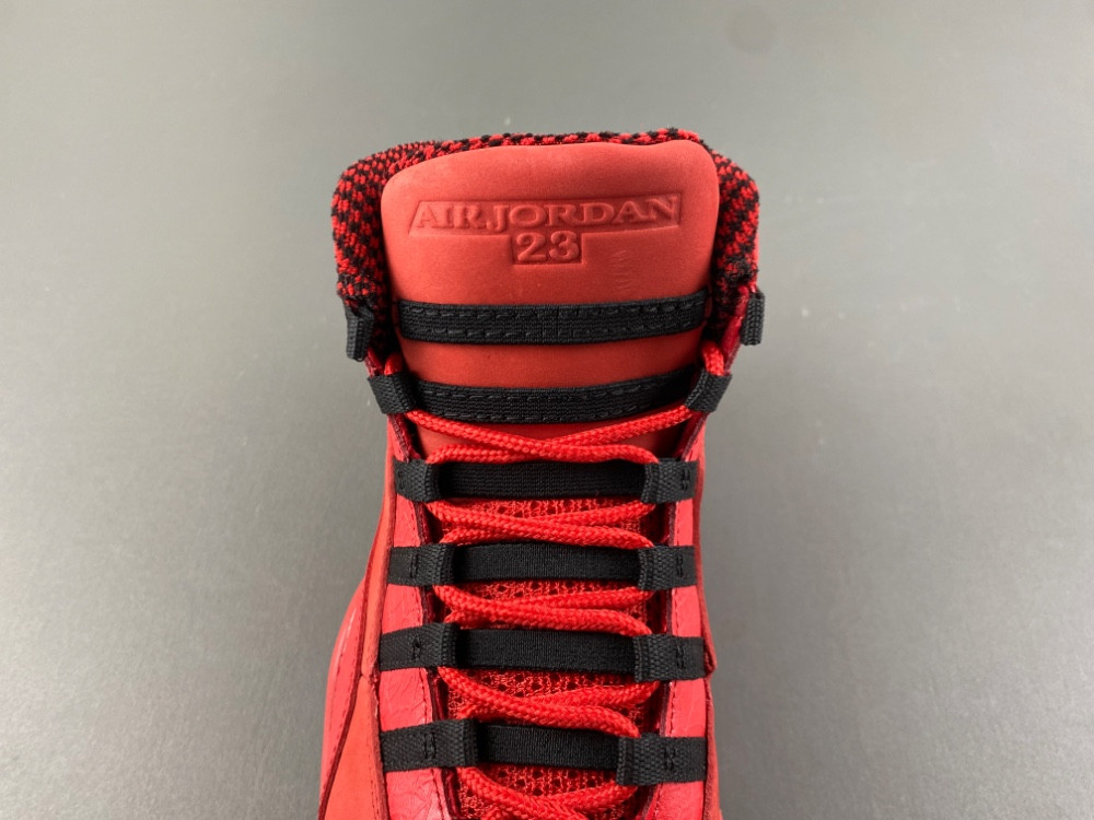 Steve Wiebe x Air Jordan 10 AJ9100-625