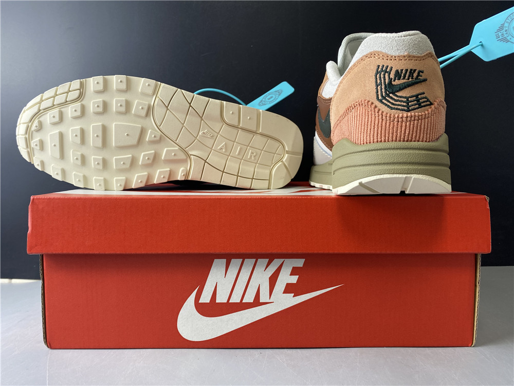 Nike Air Max 1 Amsterdam CV1638 200