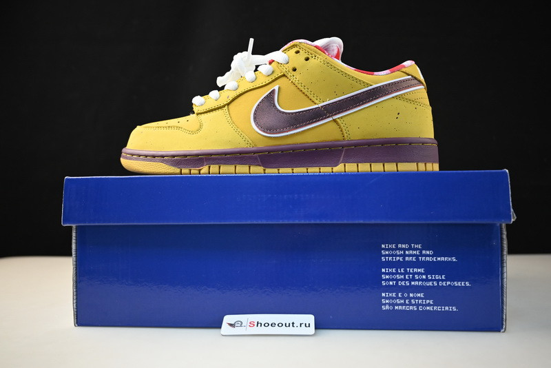 Nike SB Dunk Low “Lobster” 313170-137566
