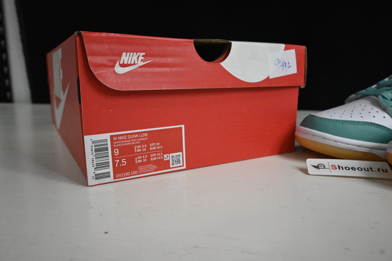 Nike Dunk Low DV2190-100