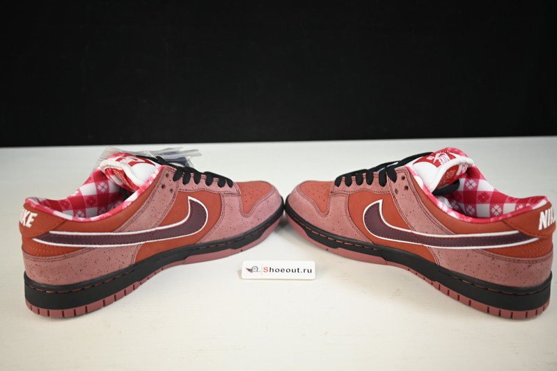 Nike SB Dunk Low “Lobster” 313170-661