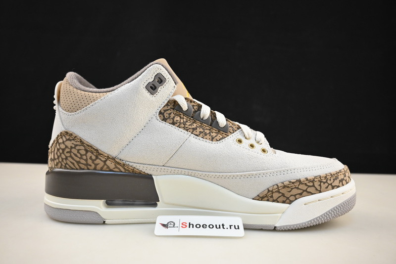 Air Jordan 3 “Palomino”  CT8532-102
