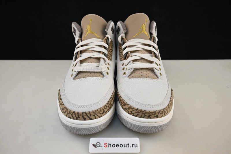 Air Jordan 3 “Palomino”  CT8532-102