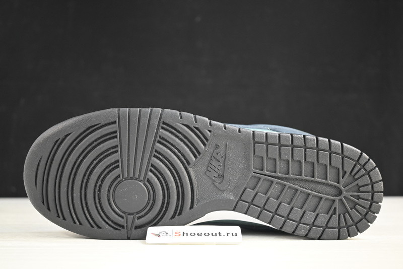 Nike Dunk Low DR9705-300