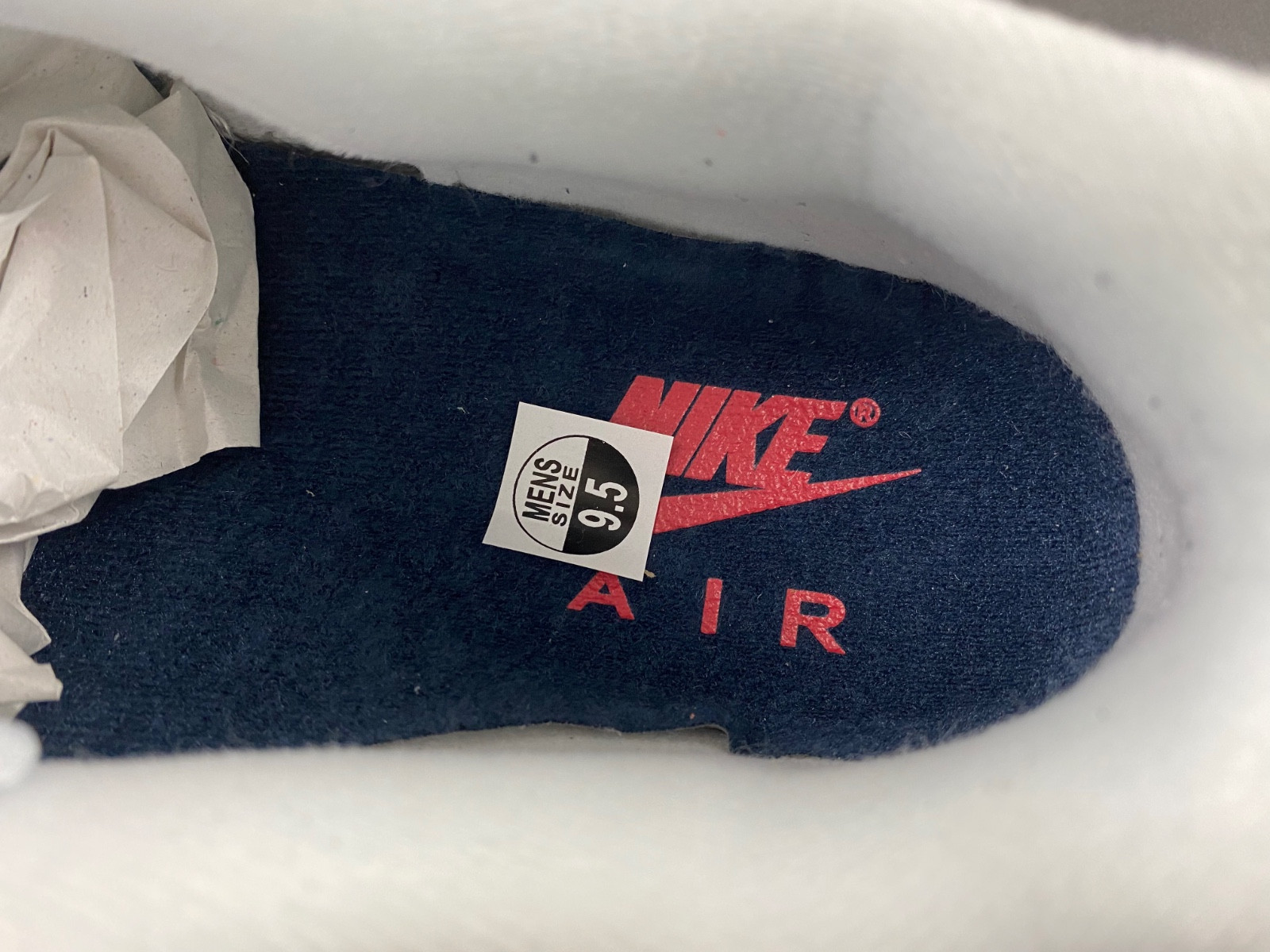 Nike Air Max 1 DH1348-146