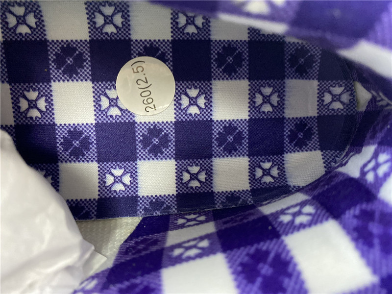 Nike SB Dunk Low Pro IW 318403-137