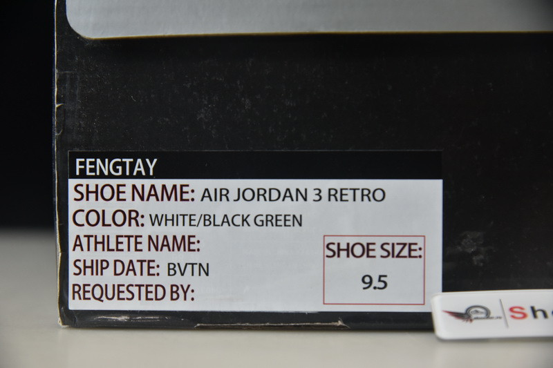 Air Jordan 3 retro oregon pitcrew AJ30822