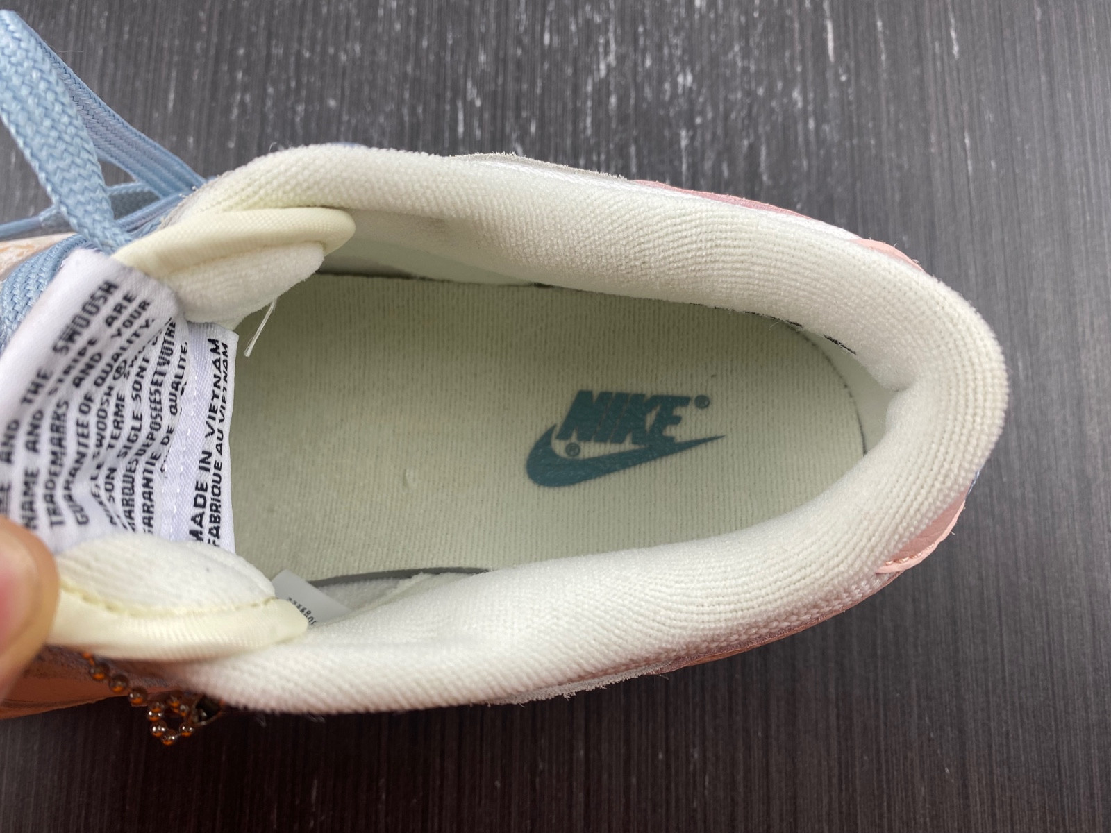 Nike Dunk Low DV6486-100