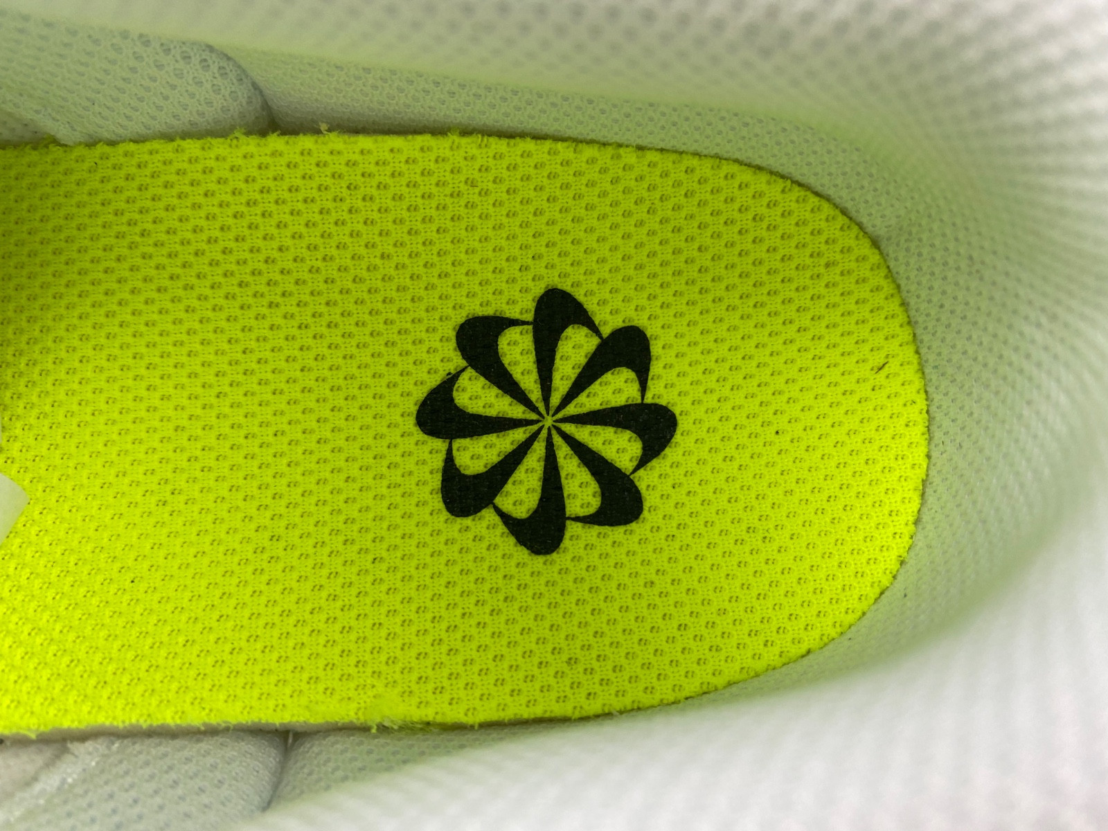 Nike Dunk Low Next Nature “Lilac” DN1431-103