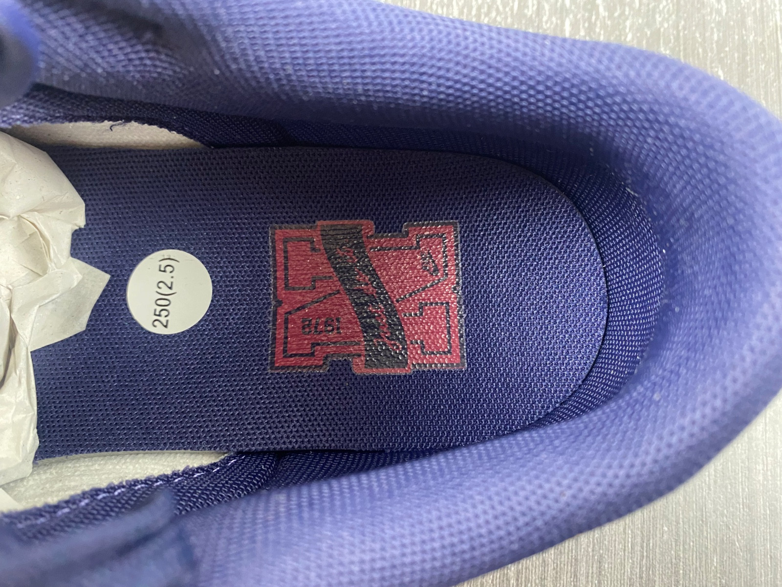 Nike Dunk Low FV8106-181