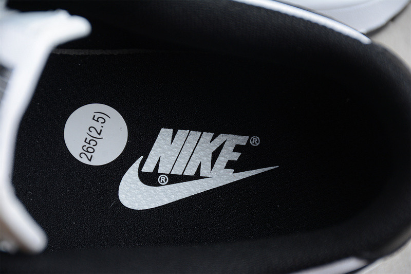 Nike Dunk Low White/Black DD1503-113