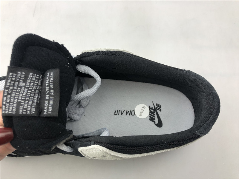 Zoom Dunk Low Pro SB 