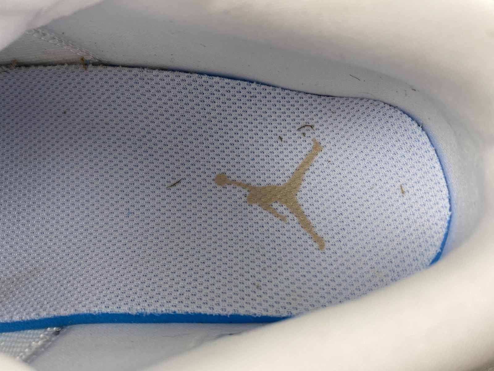 Air Jordan 1 Low SE “Metallic Zinc” (W) HQ3529-099