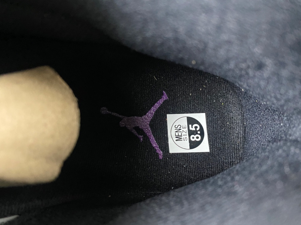 Air Jordan 11 CT8012-003