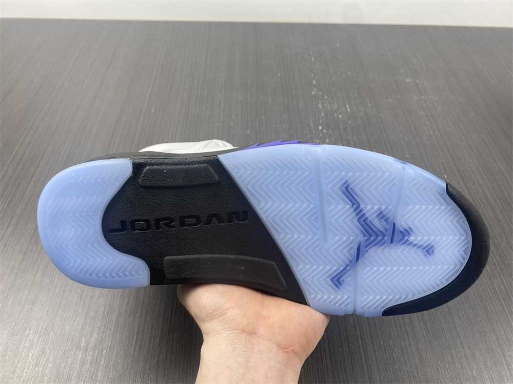 Air Jordan5 CONCORD DD0587-141