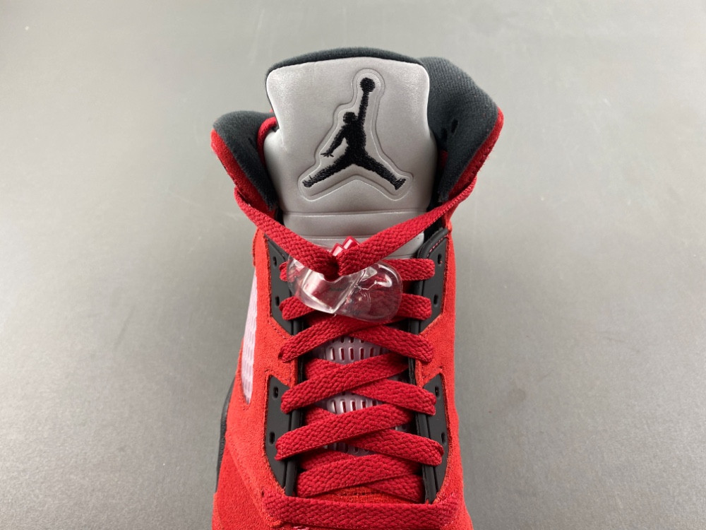 Air Jordan 5 CO0587-600
