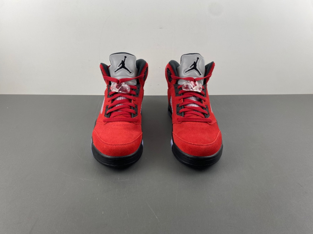 Air Jordan 5 CO0587-600