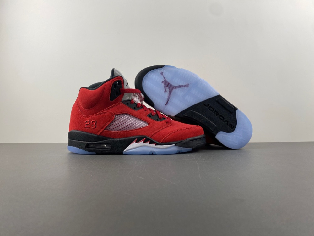 Air Jordan 5 CO0587-600
