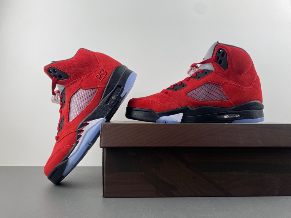 Air Jordan 5 CO0587-600