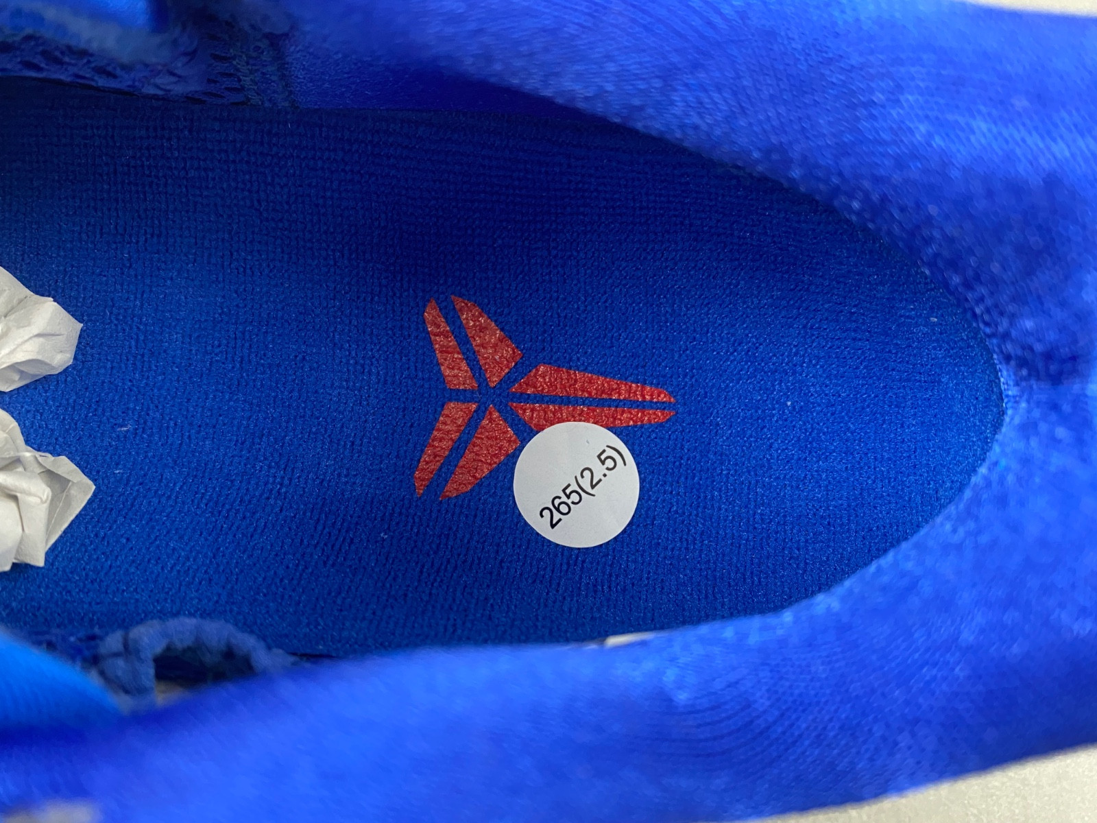 Nike Kobe 6 Protro “Dodgers” CW2190-400