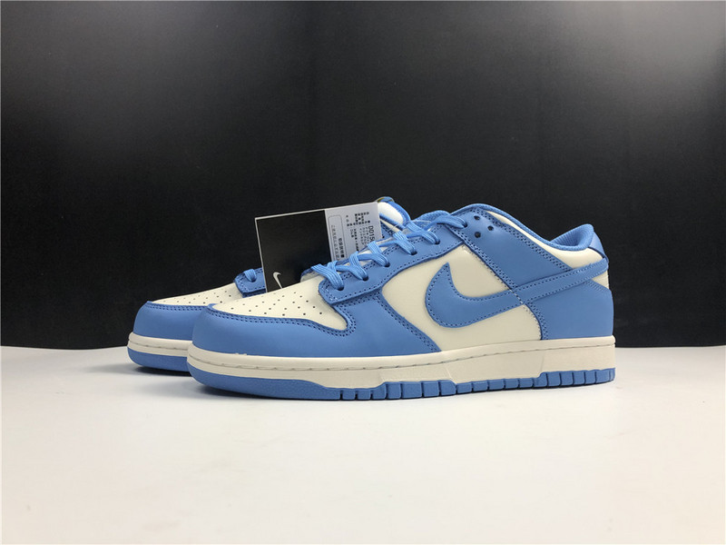 Nike Dunk Low Coast DD1503-100