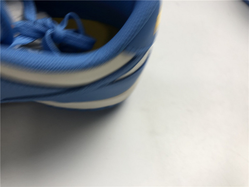 Nike Dunk Low Coast DD1503-100